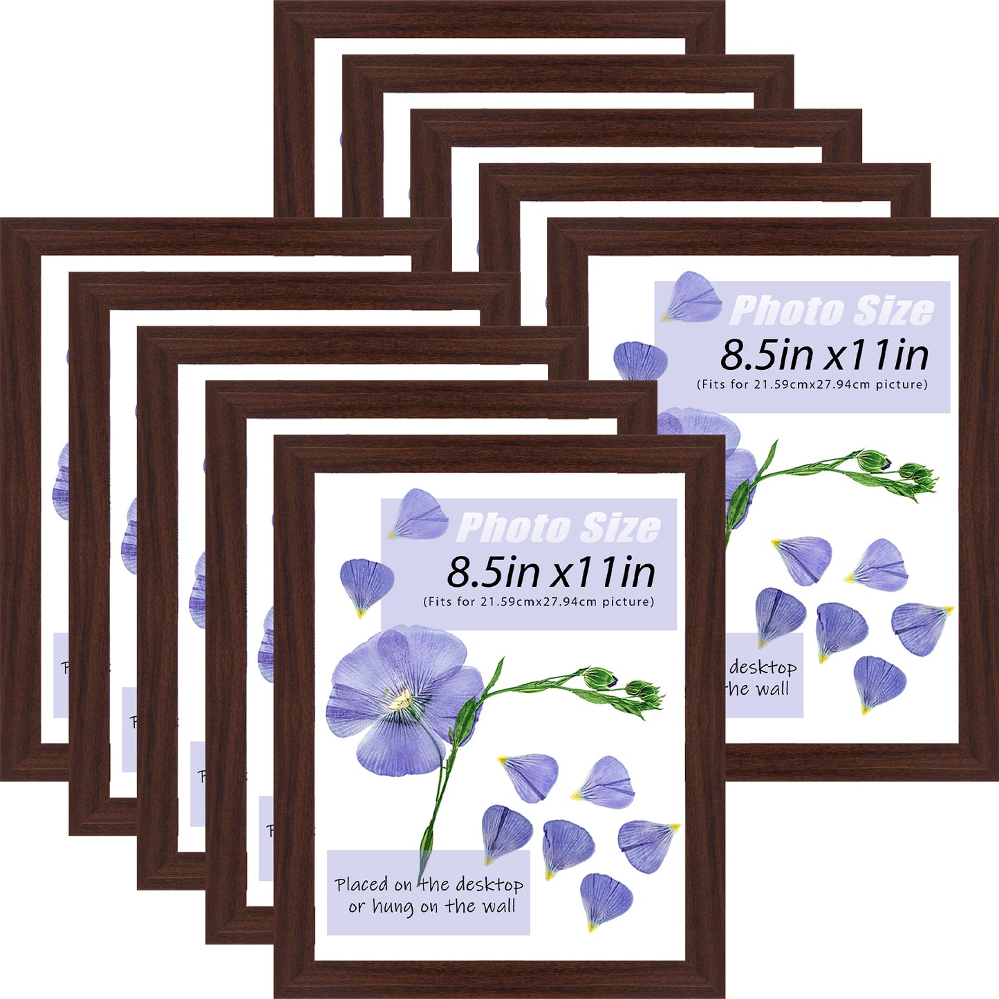 8.5x11 Diploma Frame for 8.5x11 Diploma or Photo (10 Pack)