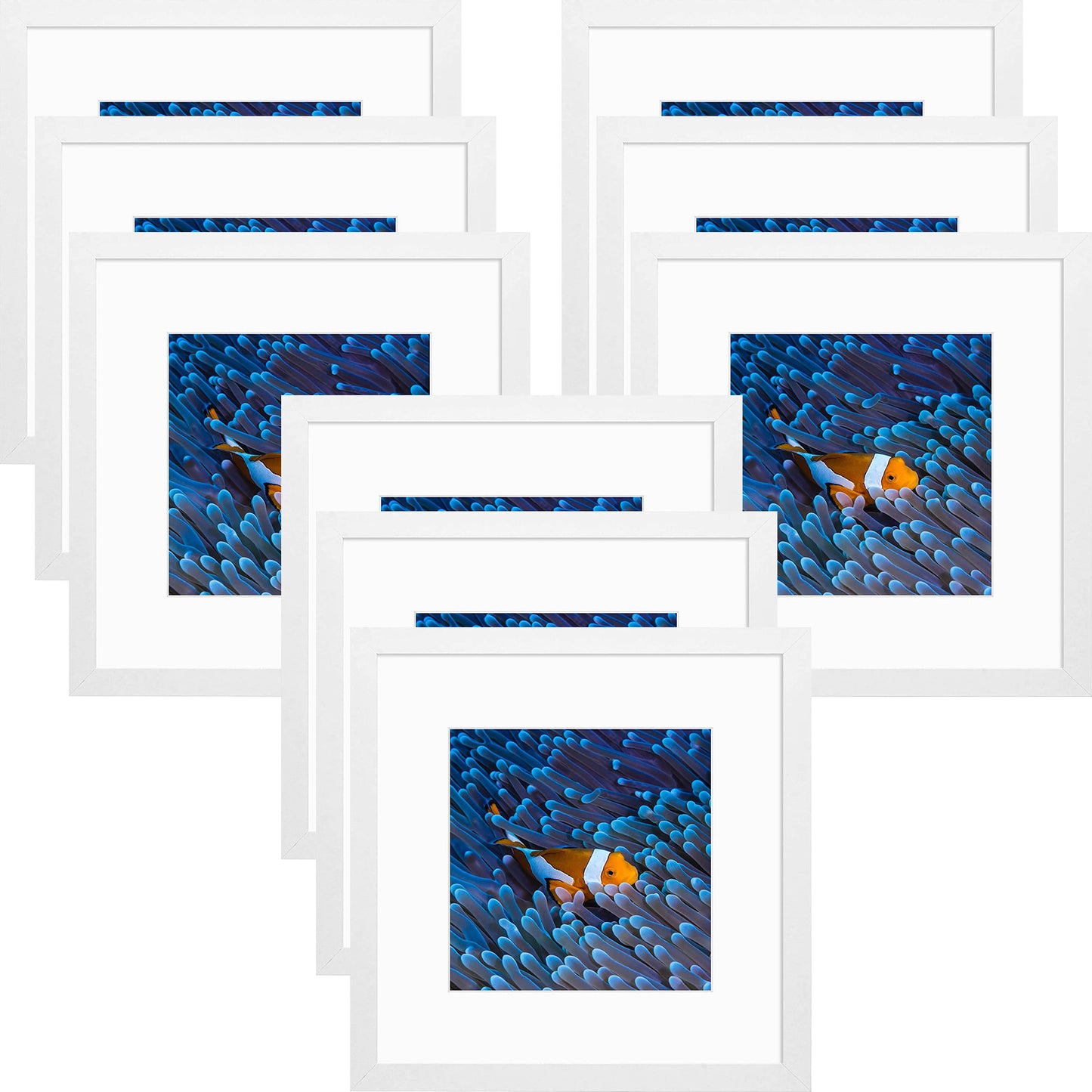 12x12 White Wood Picture Frame for 8x8 Photo with White Mat (9 Pack)