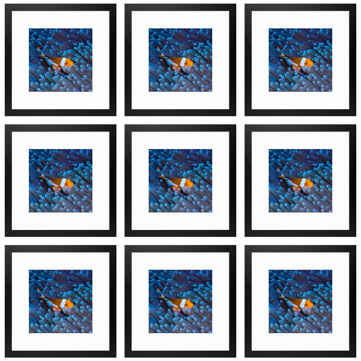 12x12 Black Picture Frame for 8x8 Photo with White Mat (9 Pack)
