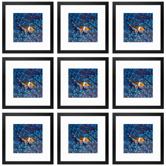 12x12 Black Picture Frame for 8x8 Photo with White Mat (9 Pack)