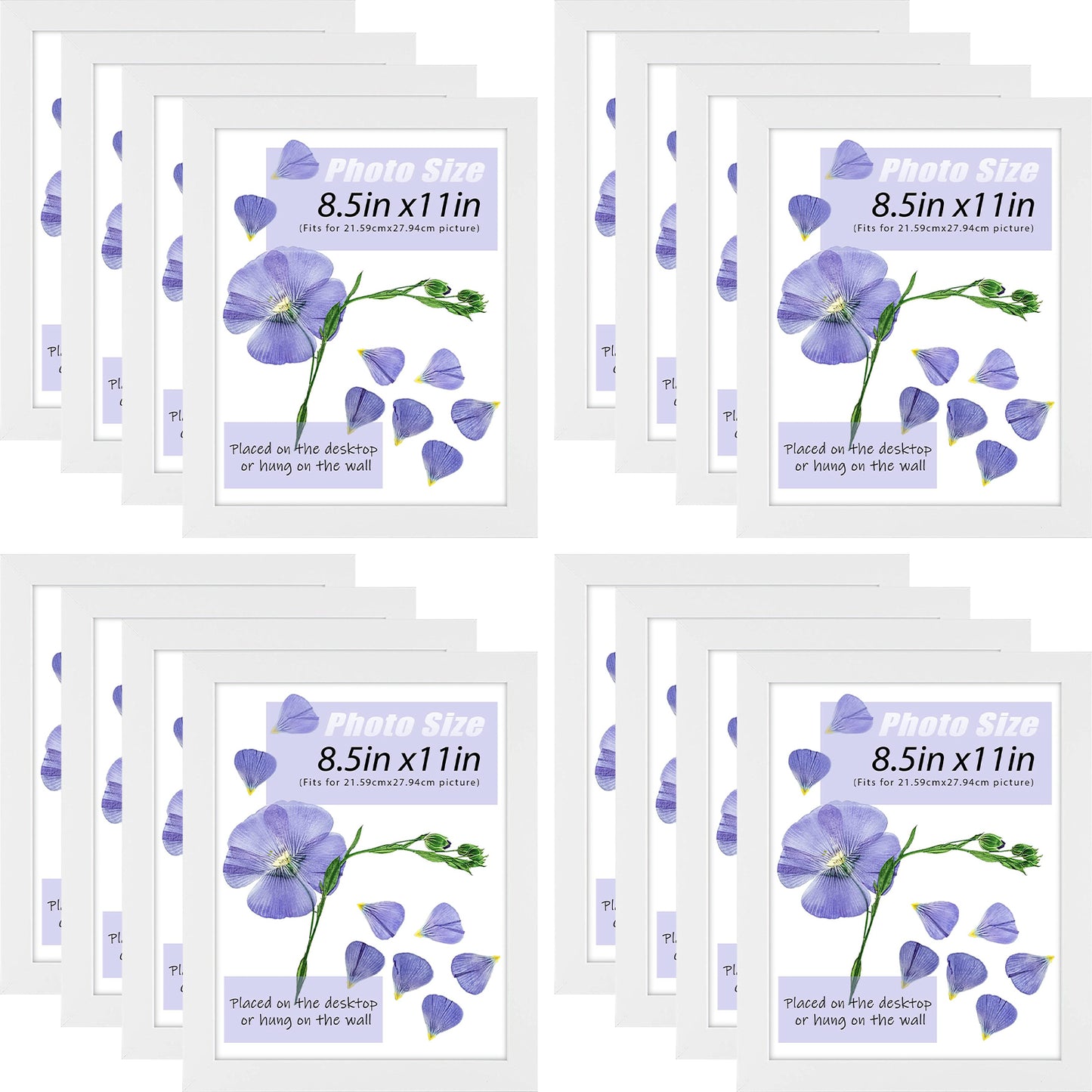 Clearance 8.5x11 White Diploma Frame for 8.5x11 Diploma or Photo