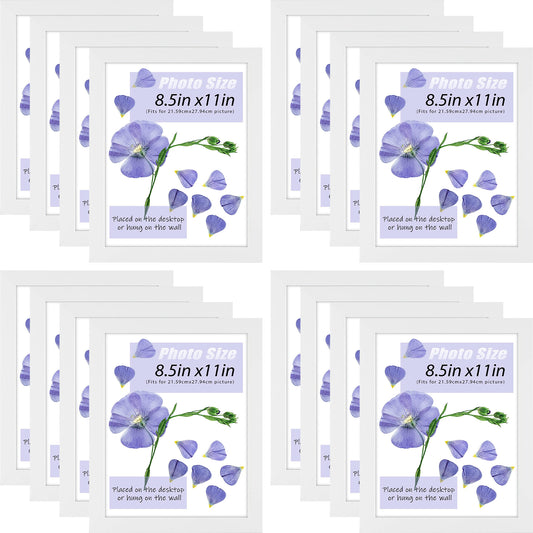 Clearance 8.5x11 White Diploma Frame for 8.5x11 Diploma or Photo