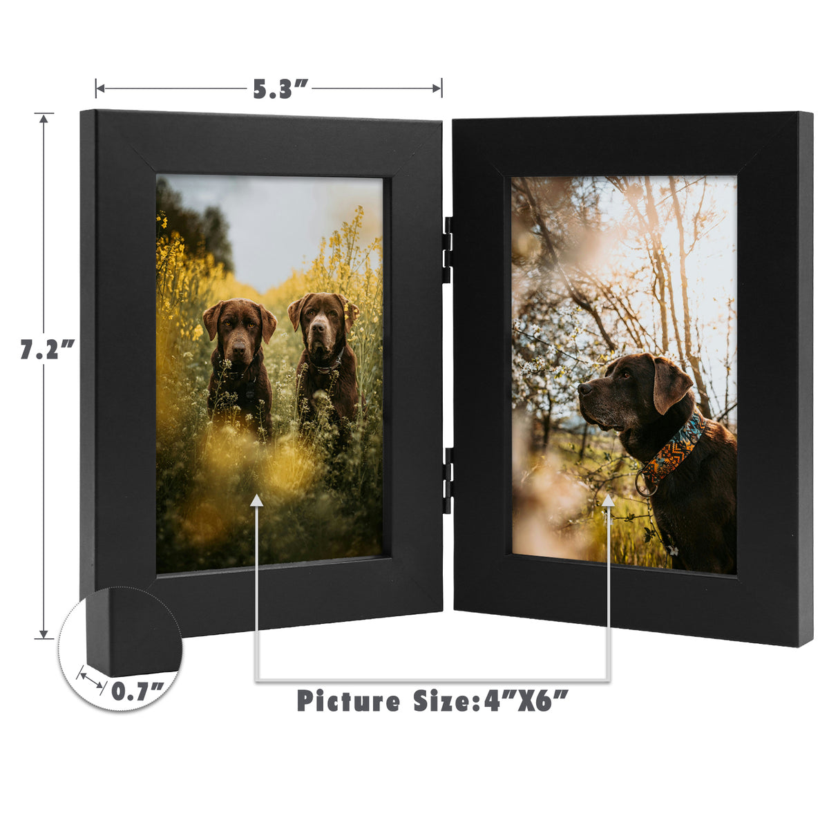 Clearance 4x6 Double Picture Frames Displays Two Pictures, Side by Side Desk Frame Folding Frame Collage Stands Vertically, Real Glass Front (10 Pack)