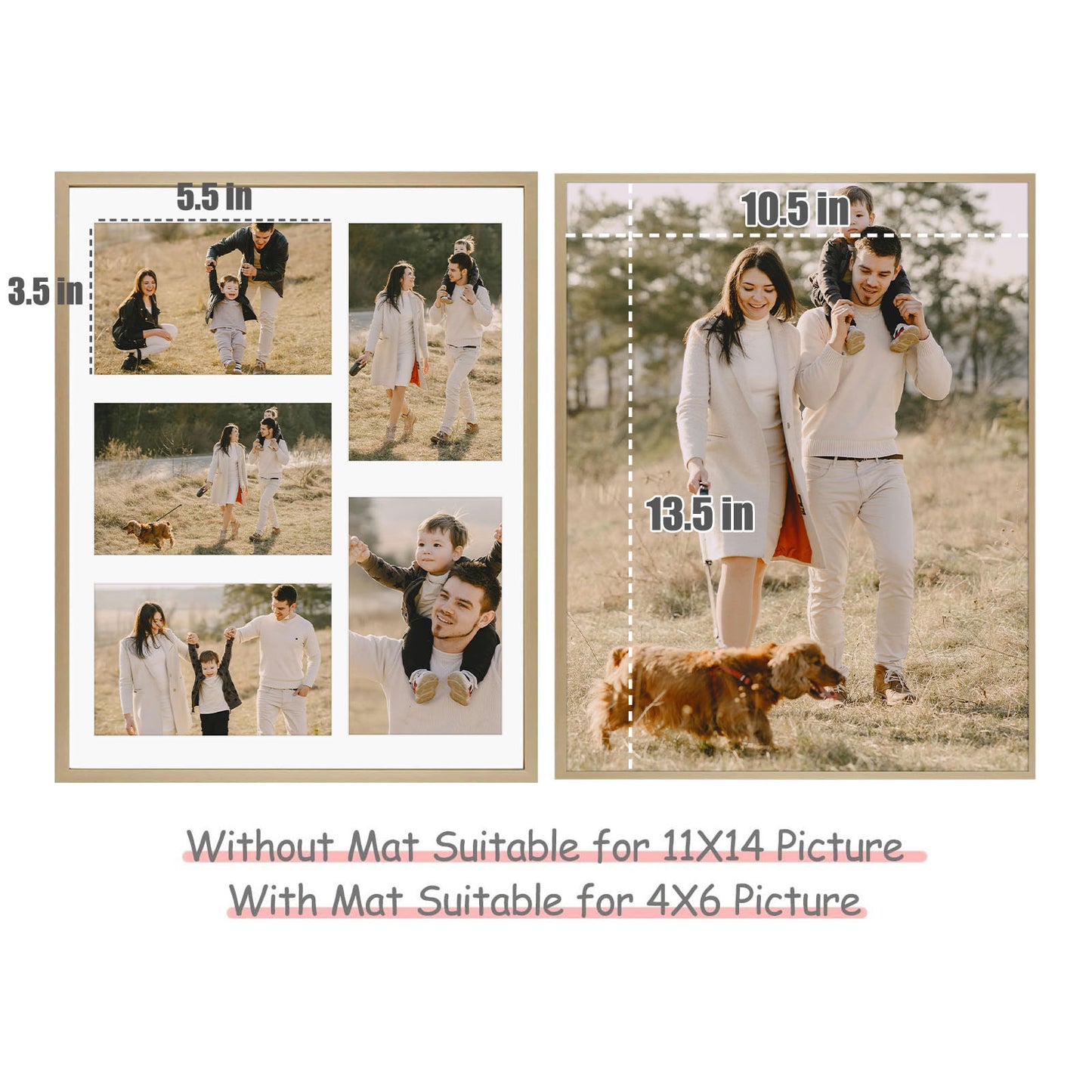 Frametory, 11x14 Gold Aluminum Frame - White Mat for Five 4x6 Pictures - Wall Display - Sawtooth Hangers, Swivel Tabs - Portrait/Landscape Display - Great for Collages, Trips, People (6 Pack)