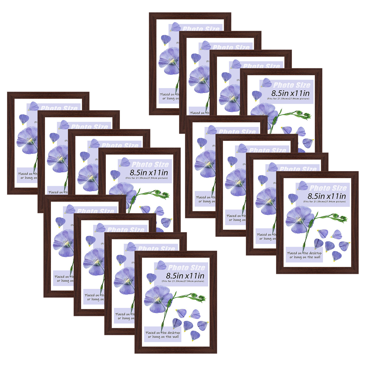 Frametory, 8.5x11 Picture Frame with Real Glass (16 Pack)