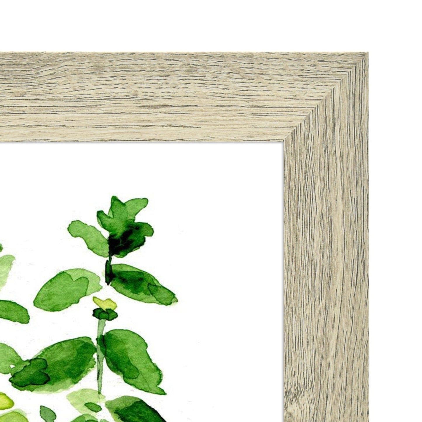 BOGO 11X14 Picture Frames with Real Glass (10 Pack)