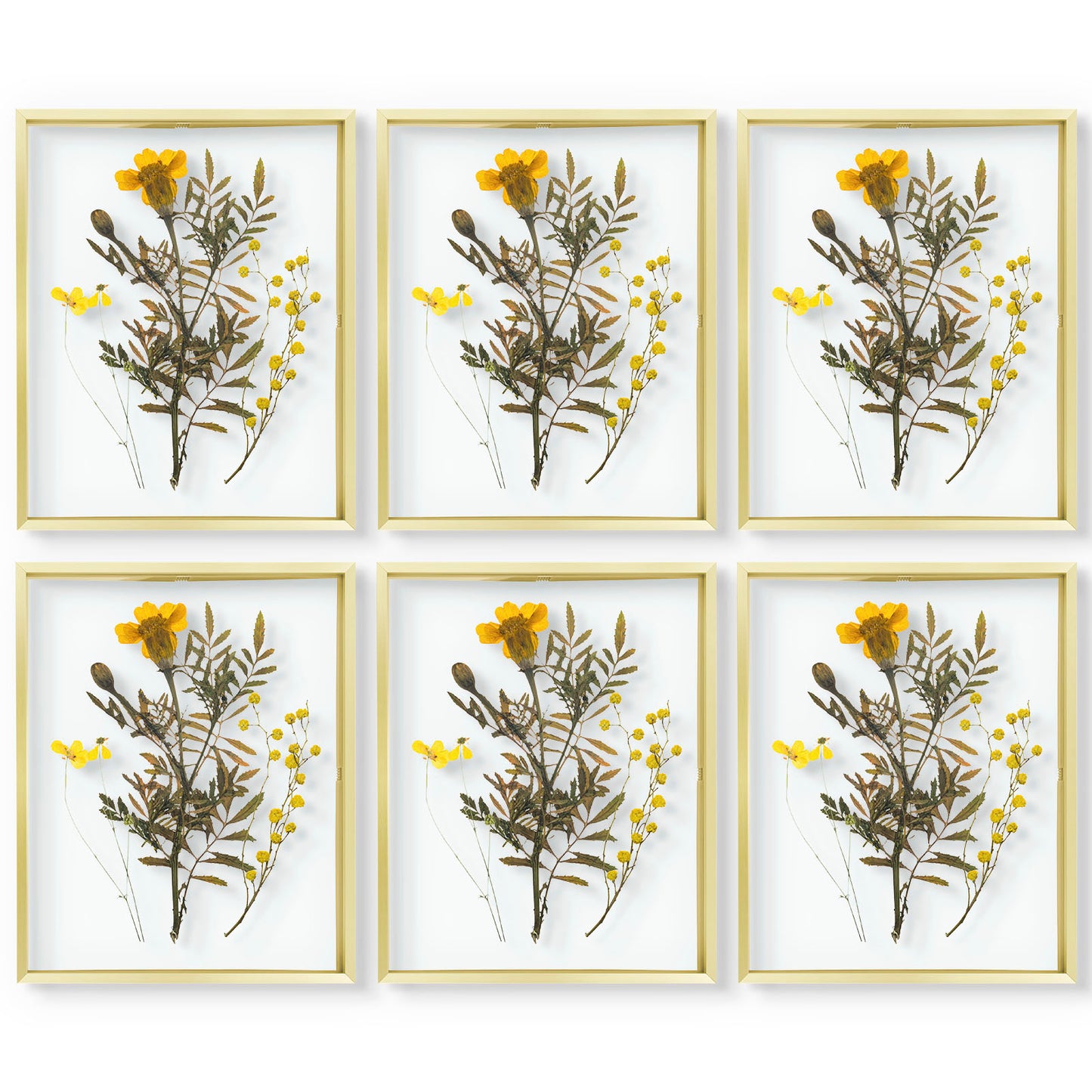 Frametory,11x14 Floating Frame For Any Size Photo up to 11 by 14 (6 Pack)