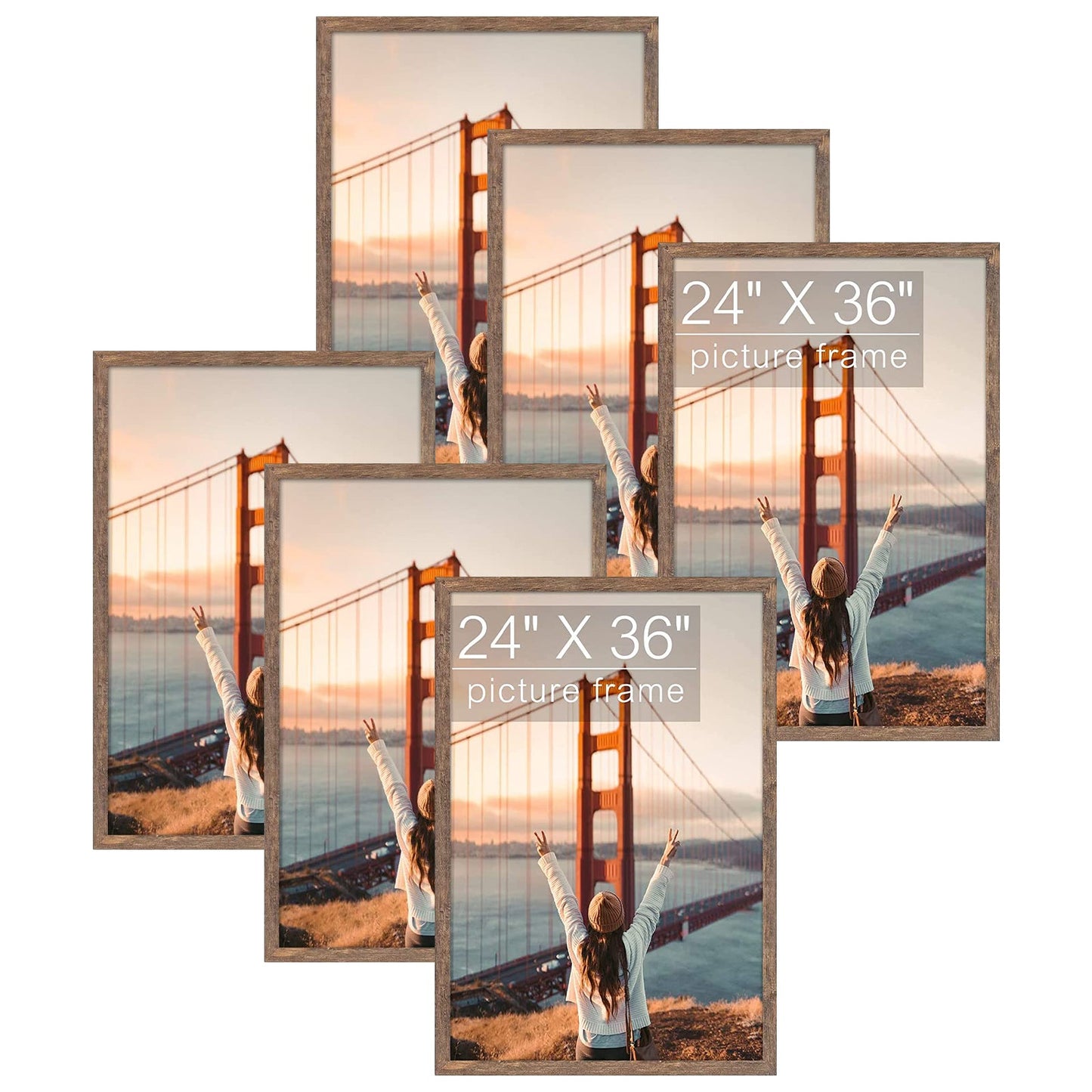 BOGO 24x36 Picture Frame(6 Pack£©