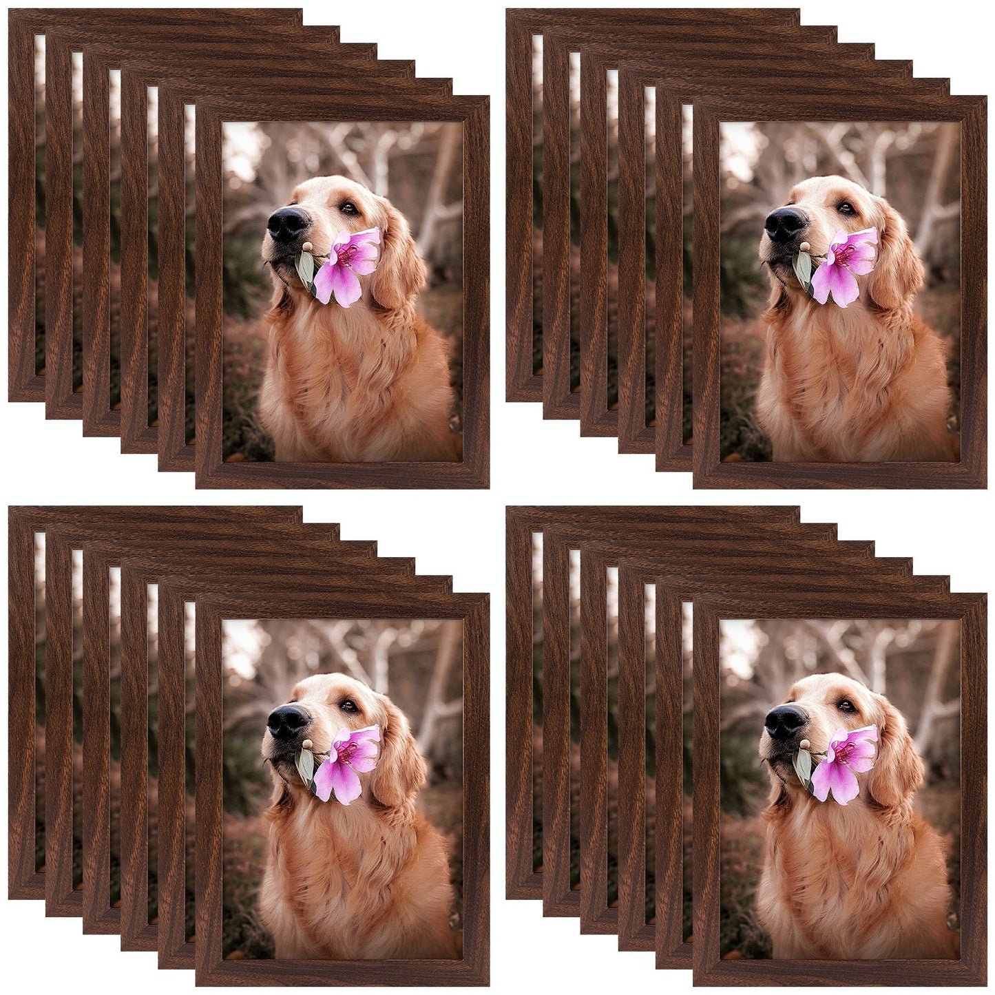 A4 Picture Frame with Plexiglass (24 Pack)