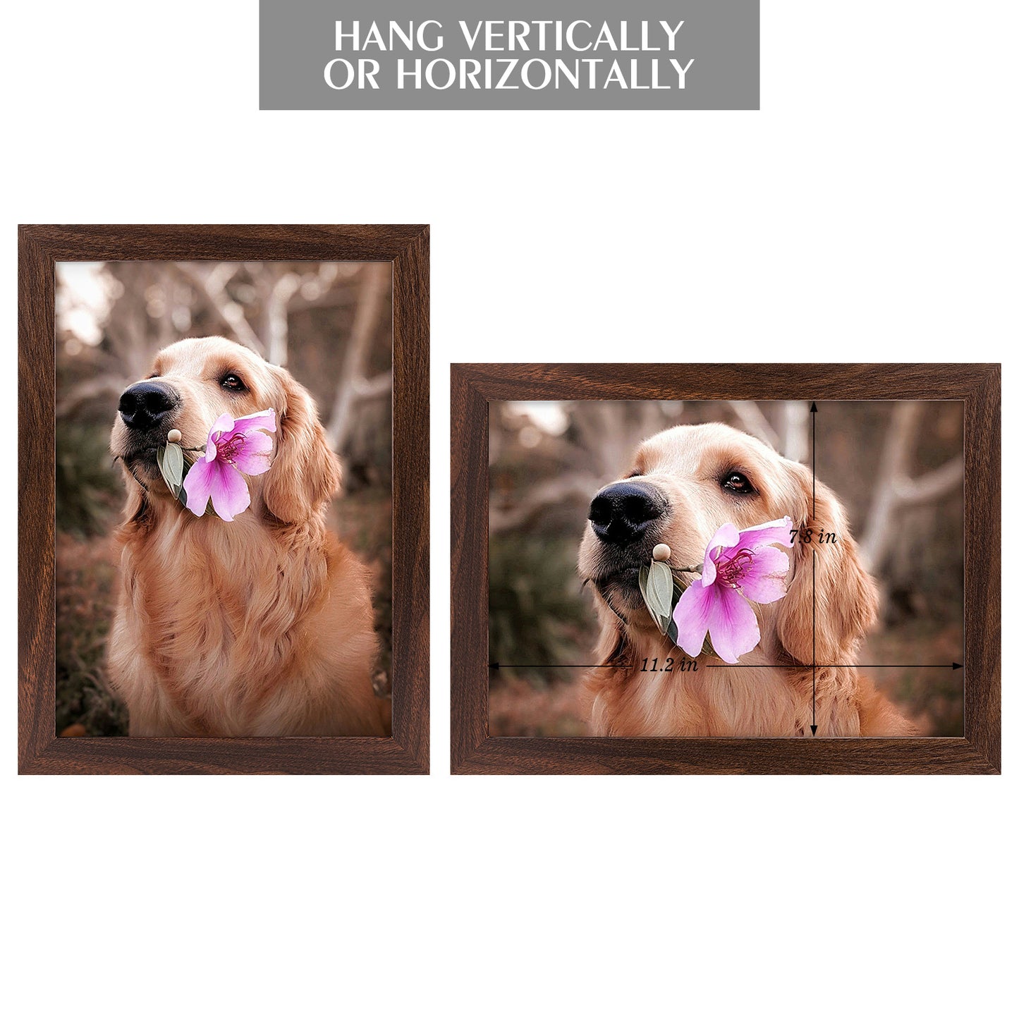 A4 Picture Frame with Plexiglass (24 Pack)