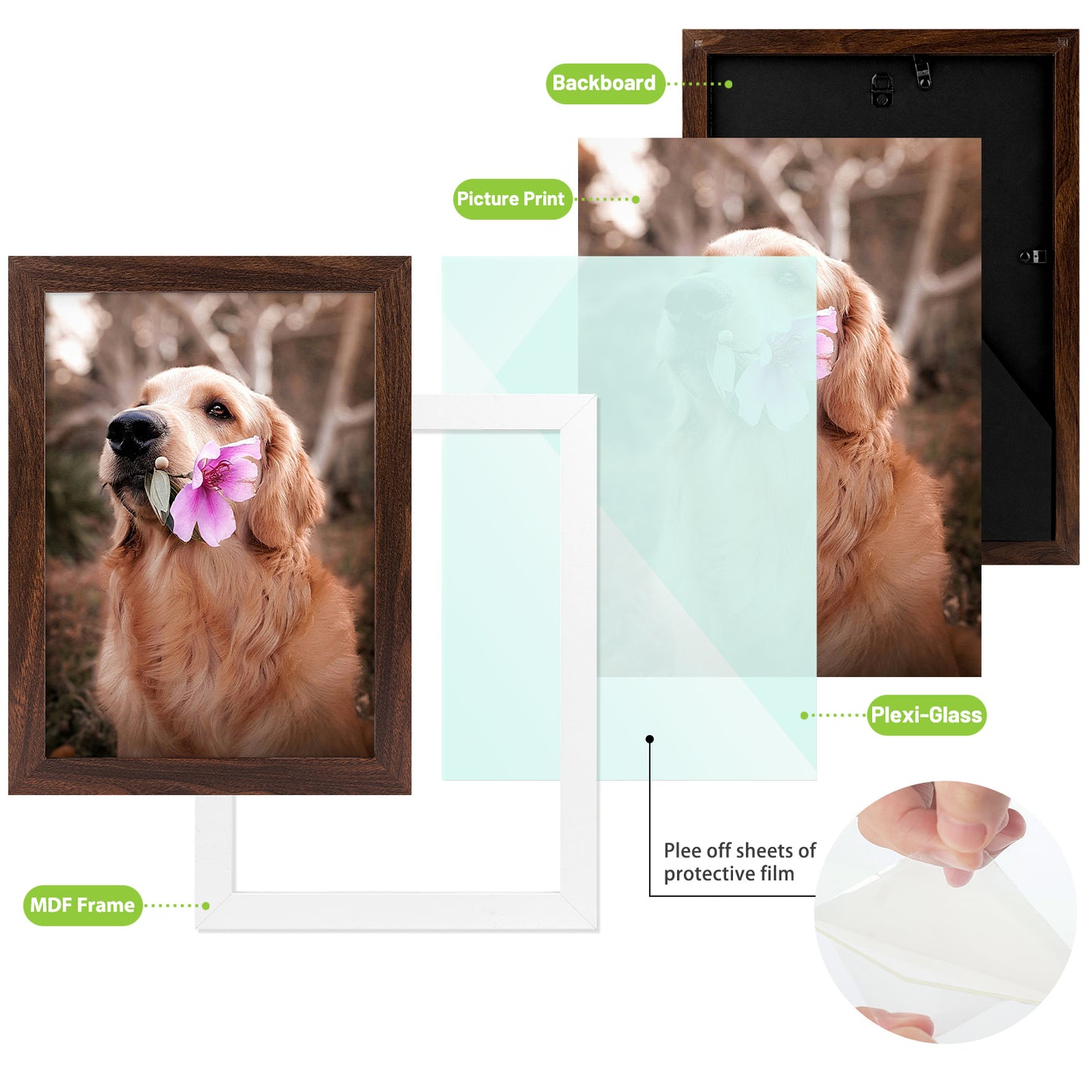 A4 Picture Frame with Plexiglass (24 Pack)