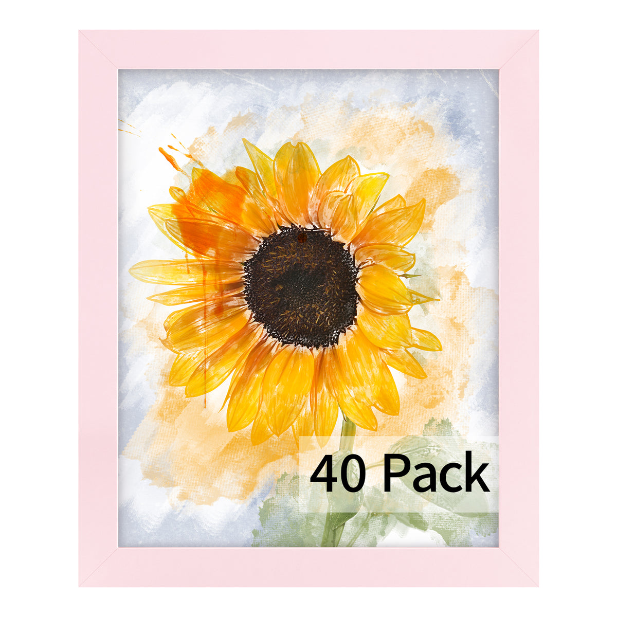 Frametory, 8x10 Picture Frames (40 Pack)