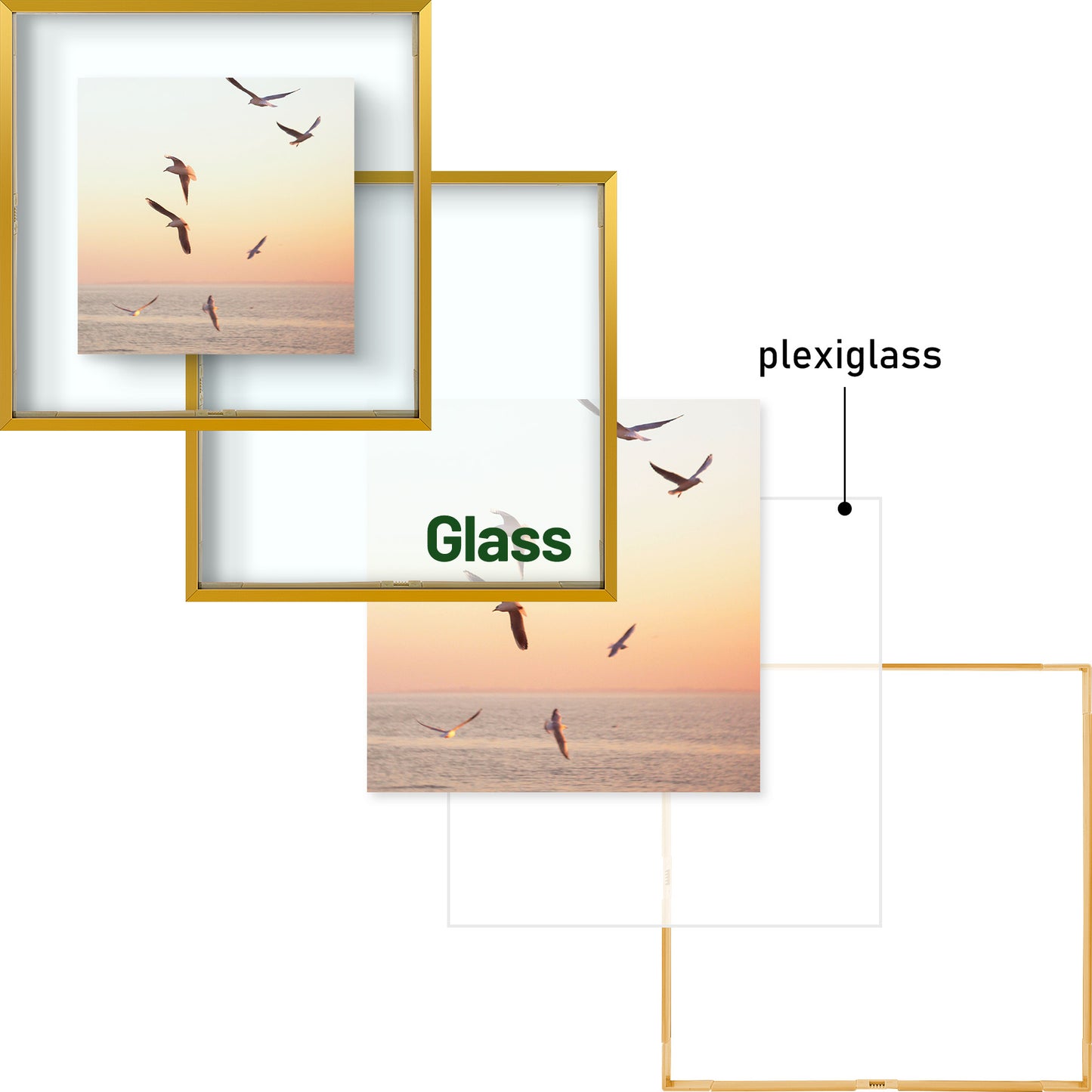 12x12 Floating Frame Displays Any Size Photo up to 12 by 12 (6 Pack)