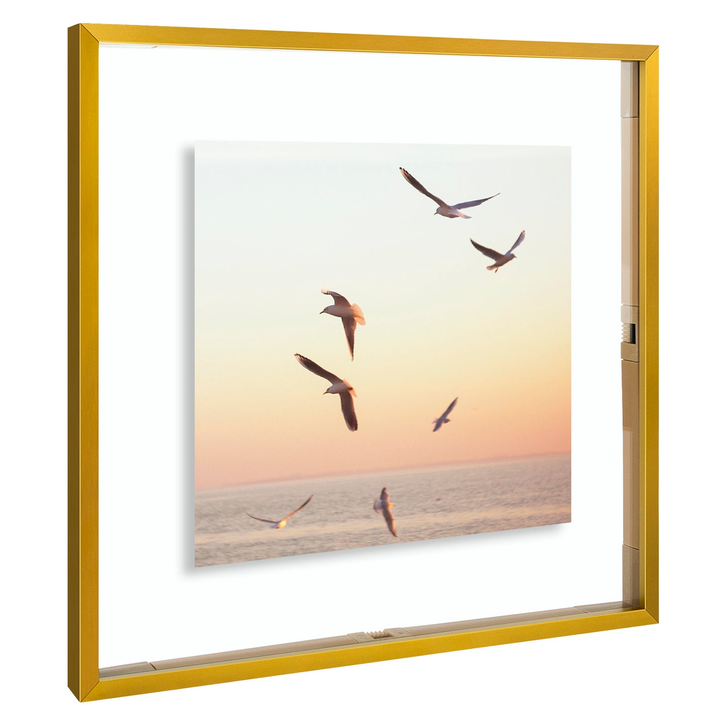 12x12 Floating Frame Displays Any Size Photo up to 12 by 12 (6 Pack)
