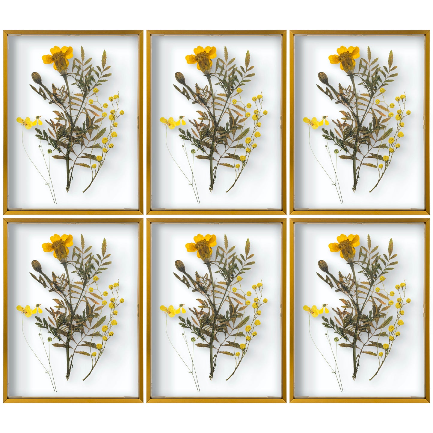 12x16 Floating Frame Displays Any Size Photo up to 12 by 16 (6 Pack)