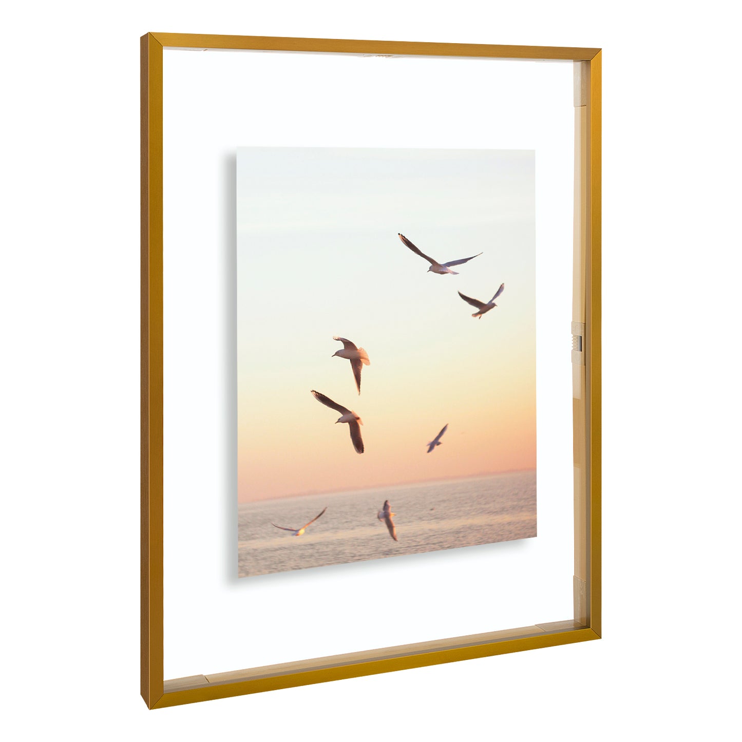 12x16 Floating Frame Displays Any Size Photo up to 12 by 16 (6 Pack)