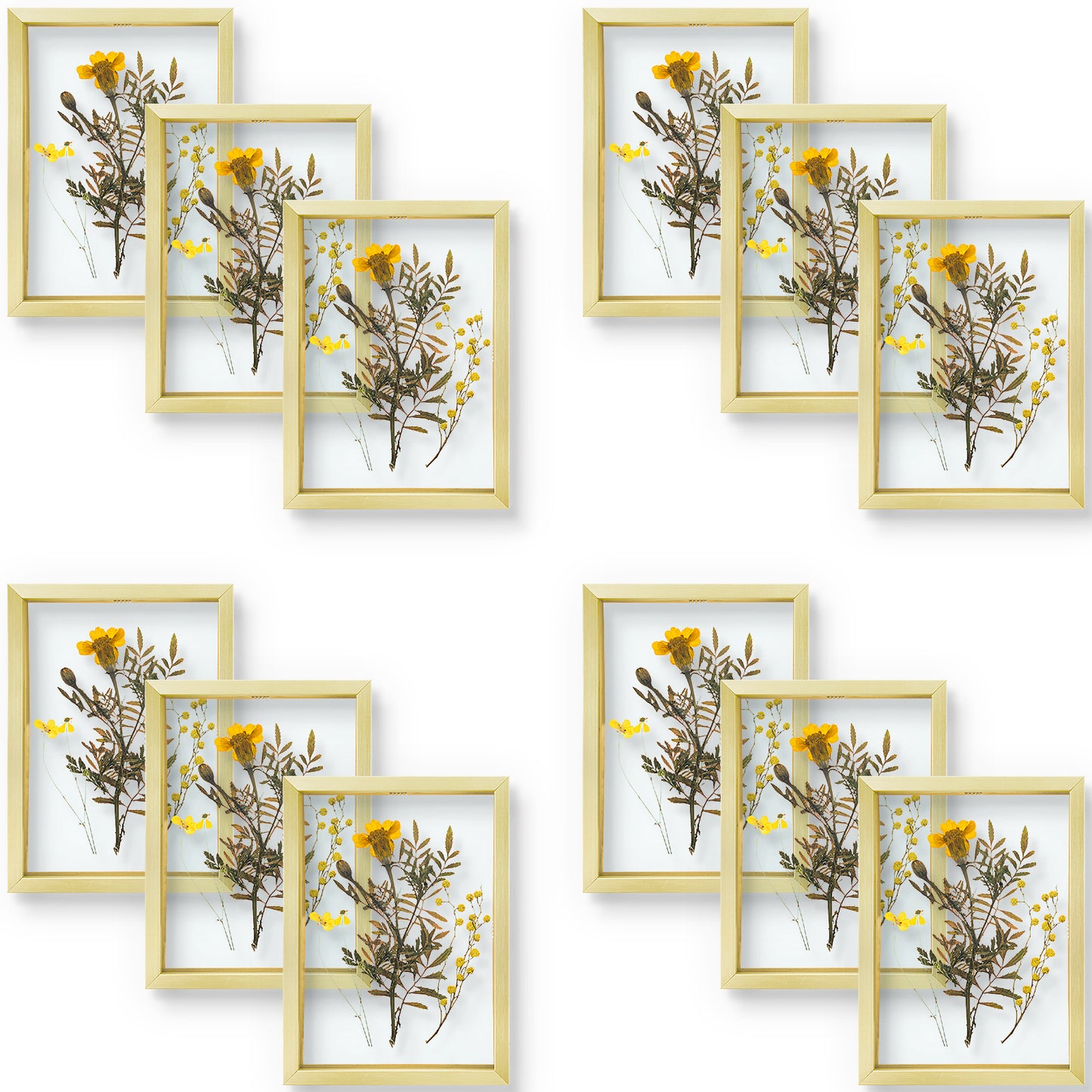 5x7 Floating Frame Displays Any Size Photo up to 5 by 7 (12 Pack)