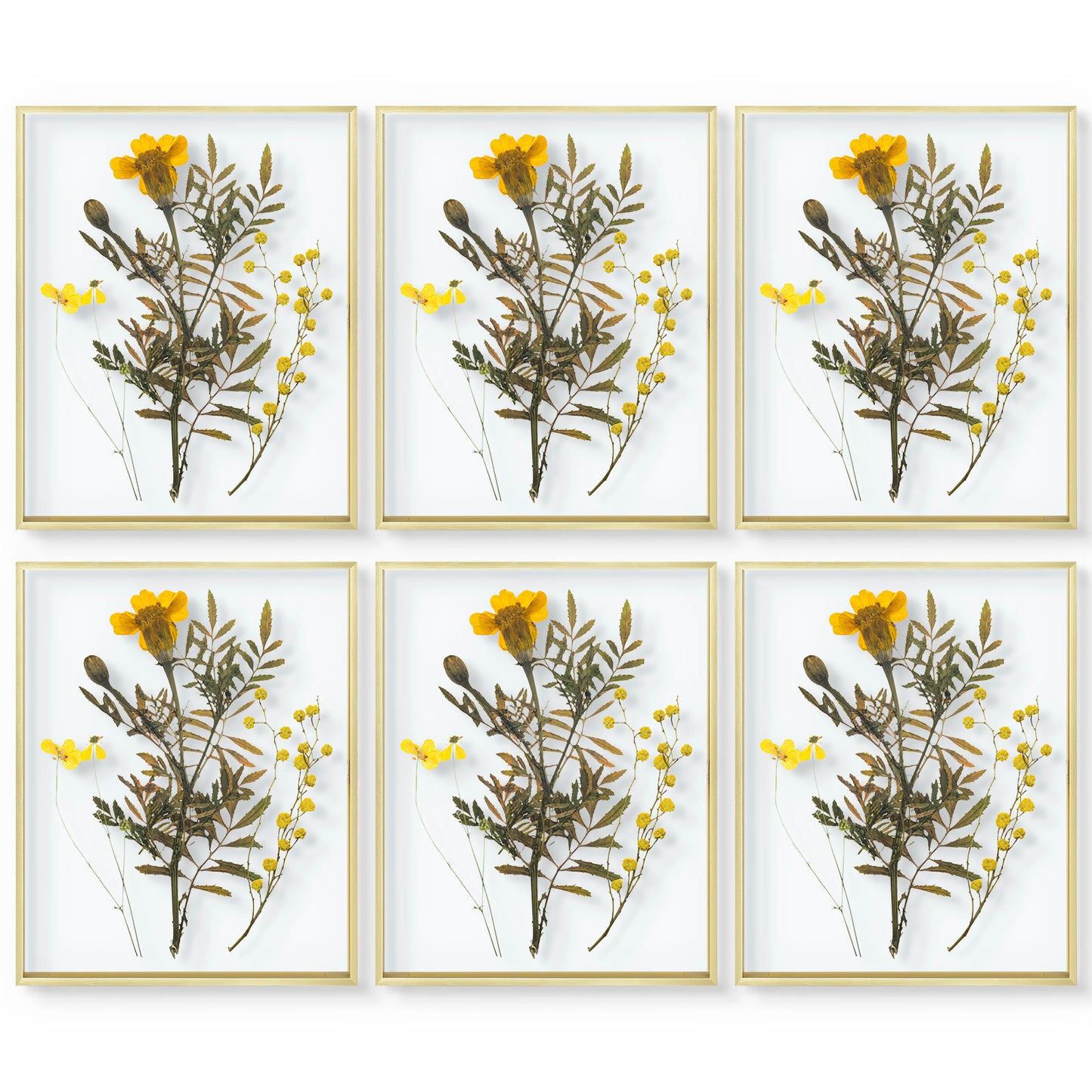 Frametory,16x20 Floating Frame For Any Size Photo Up to 16 by 20 (6 Pack)