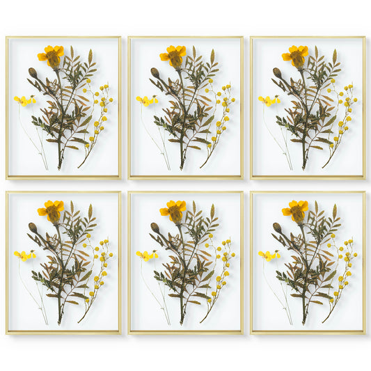 Frametory,16x20 Floating Frame For Any Size Photo Up to 16 by 20 (6 Pack)