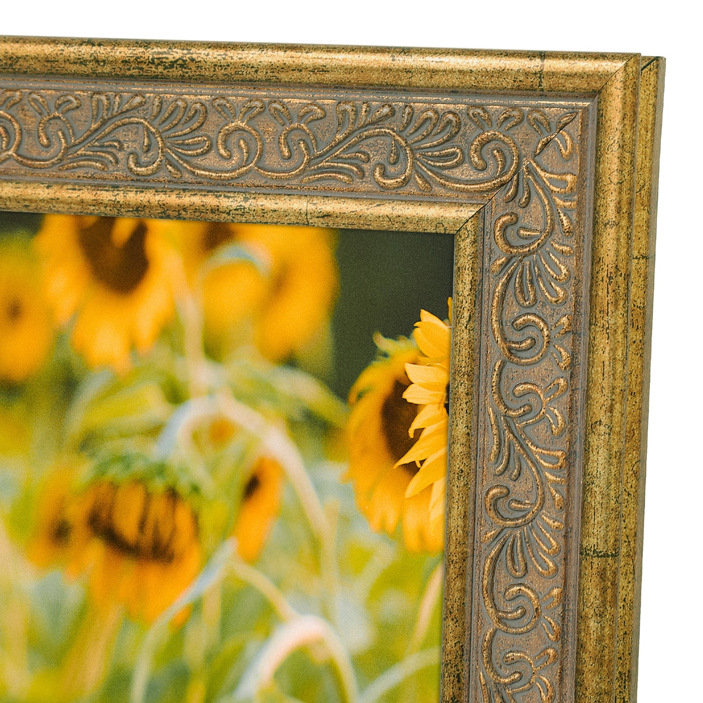 Frametory, 8x10 Ornate Photo Frame, Table Top or Wall Mount & Real Glass, Distressed Gold Color (12 Pack??¡ë