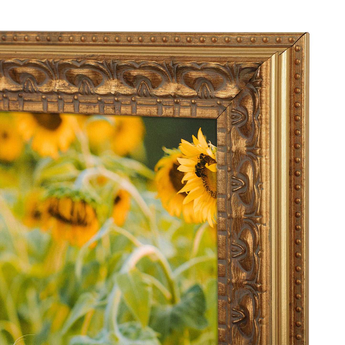 8x10 Ornate Photo Frame Bronze (12 Pack)