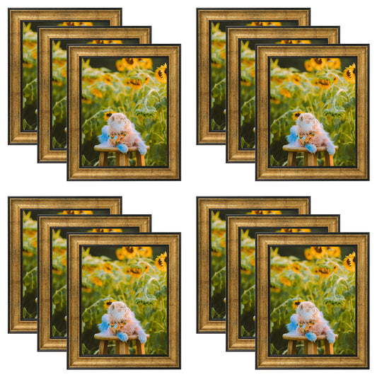 Frametory,8x10 Picture Frame with Real Glass (12 Pack)