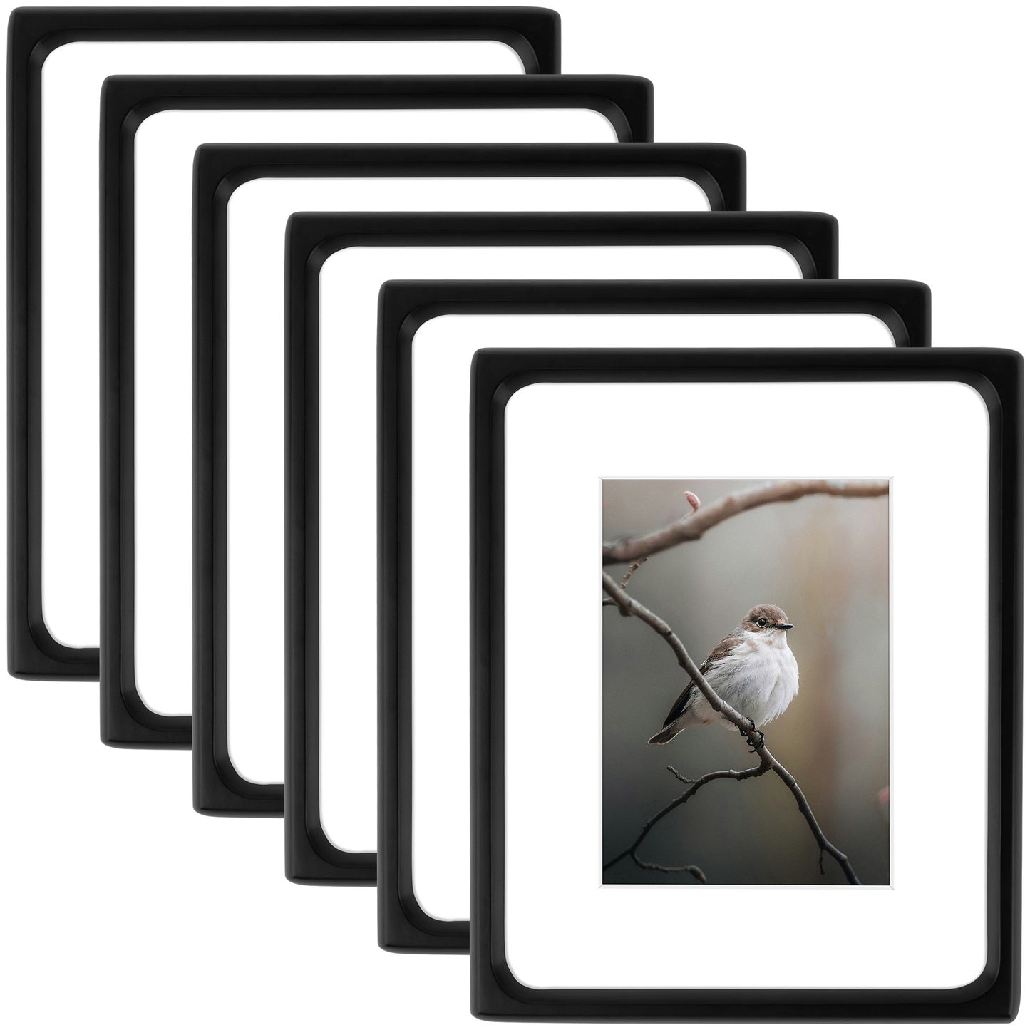 Clearance Rounded Corner 8x10 Wood Picture Frame For 5x7 Photos (6 Pack)