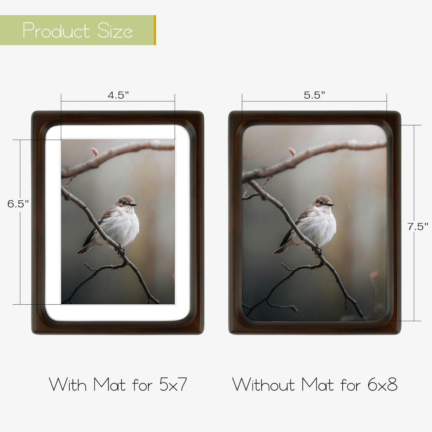 Frametory,Rounded Corner 6x8 Wood Frames For 5x7 Photos (6 Pack)