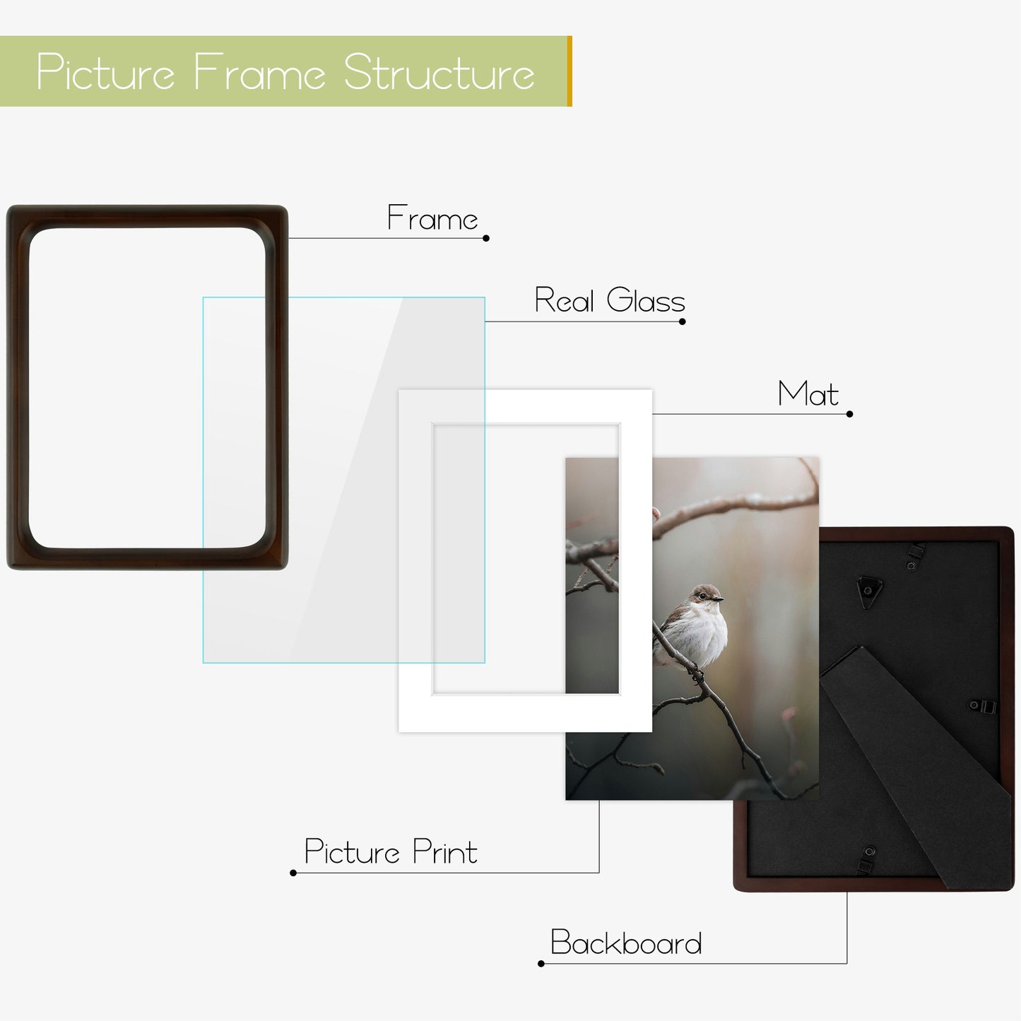 Frametory,Rounded Corner 6x8 Wood Frames For 5x7 Photos (6 Pack)