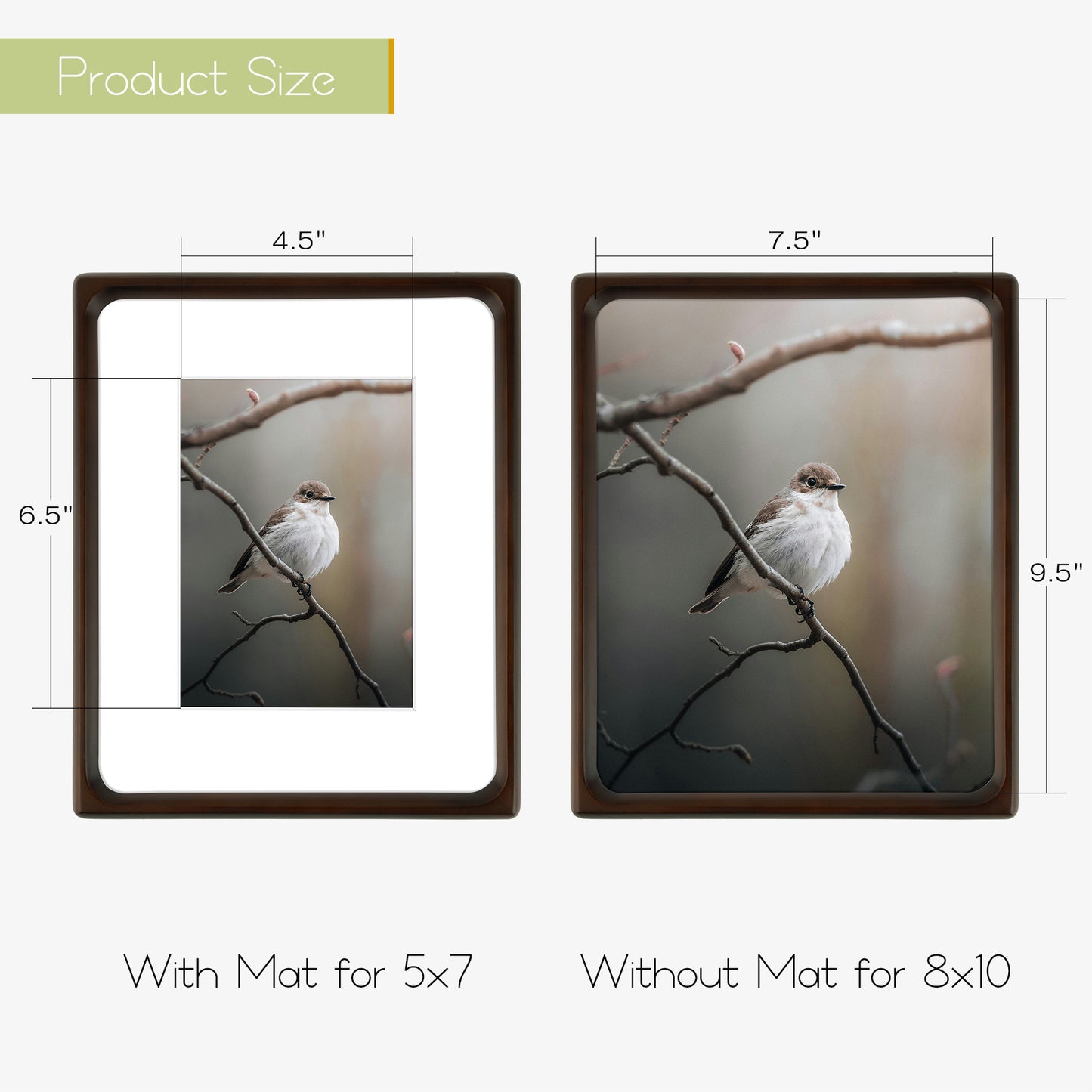 Frametory,Rounded Corner 8x10 Wood Frames For 5x7 Photos (6 Pack)