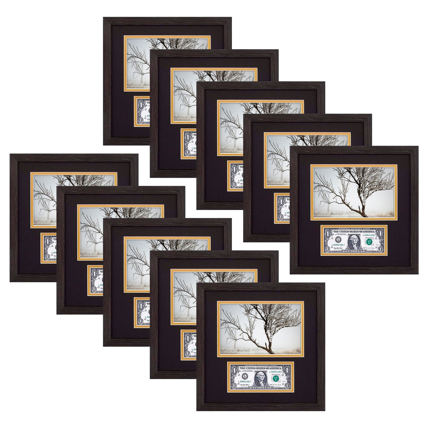 10.5x10.5 Picture Frame with 2 Opening Displays A 5.5x8.5 Business License and Dollar Bill Black Over Gold Double Mat, Wall Mounting Dark Brown Textured (10 Pack)