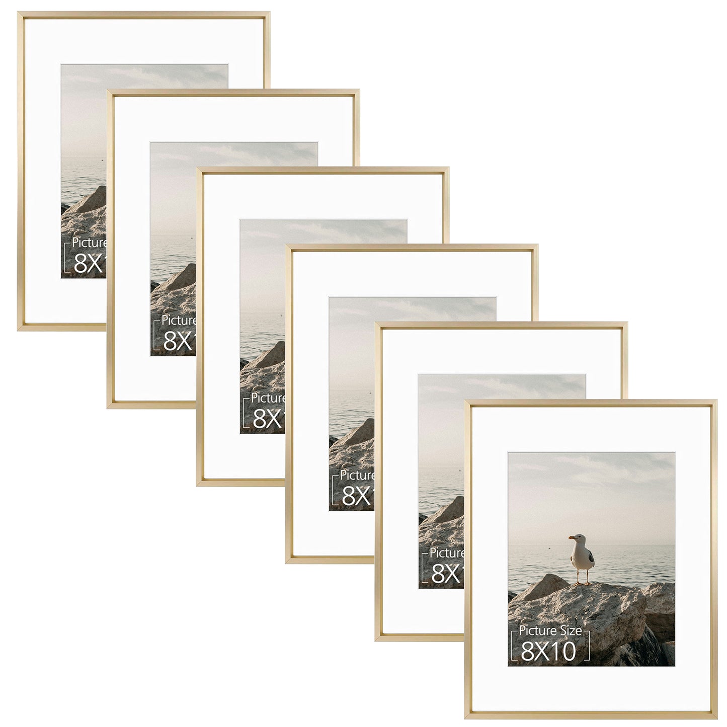 11x14 Aluminum Picture Frame for 8x10 Photo with White Mat (6 Pack)