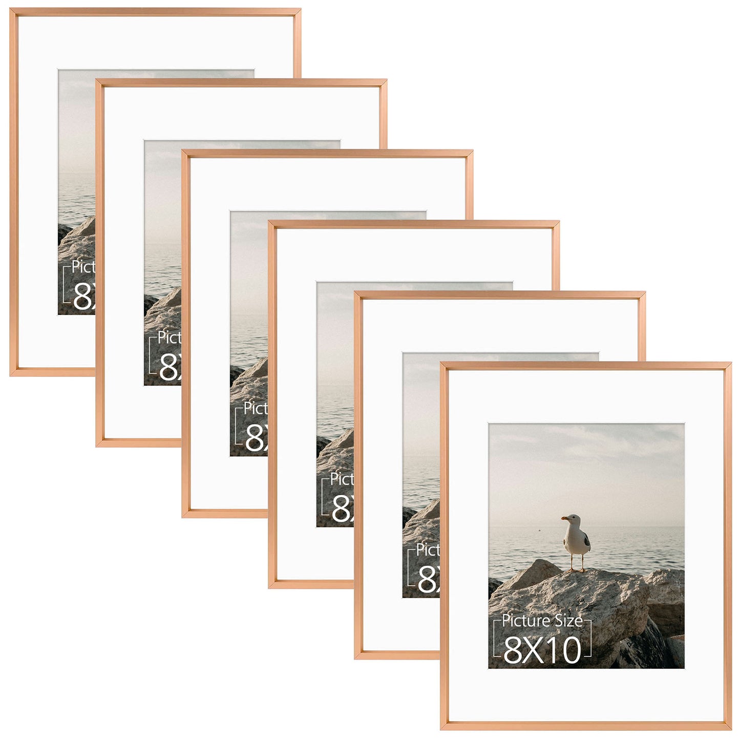 11x14 Aluminum Picture Frame for 8x10 Photo with White Mat (6 Pack)