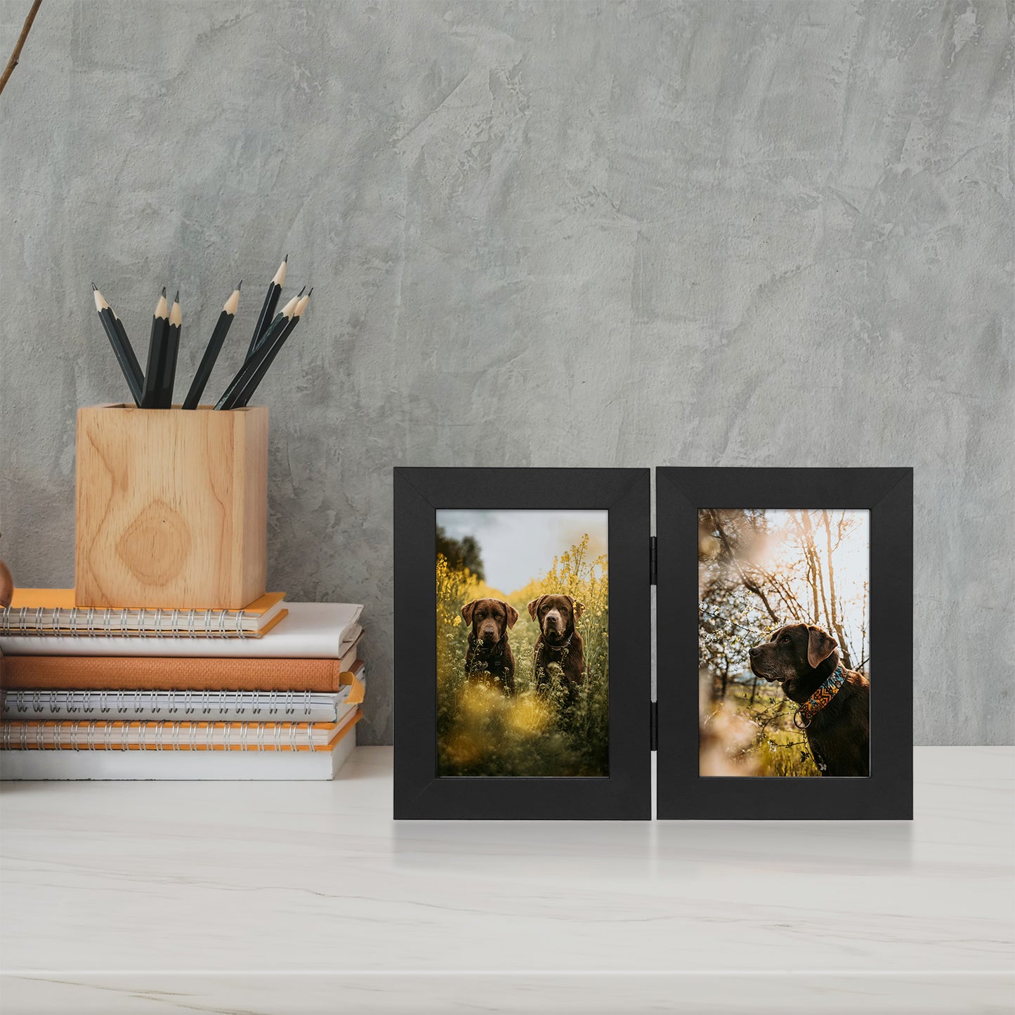 Clearance 4x6 Double Picture Frames Displays Two Pictures, Side by Side Desk Frame Folding Frame Collage Stands Vertically, Real Glass Front (10 Pack)