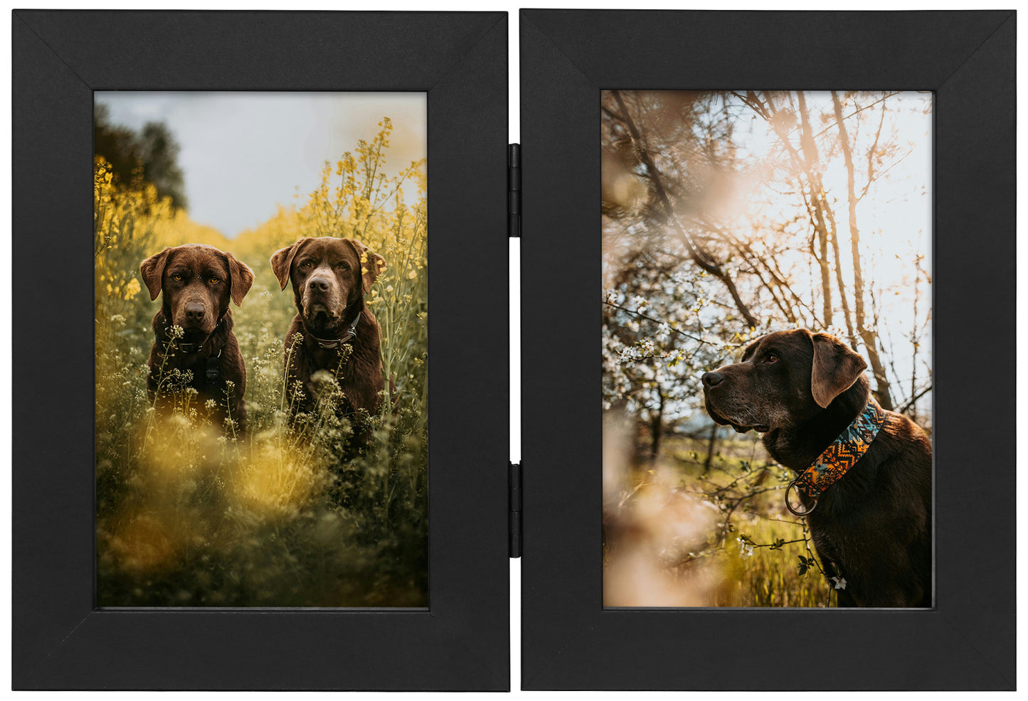 Clearance 4x6 Double Picture Frames Displays Two Pictures, Side by Side Desk Frame Folding Frame Collage Stands Vertically, Real Glass Front (10 Pack)