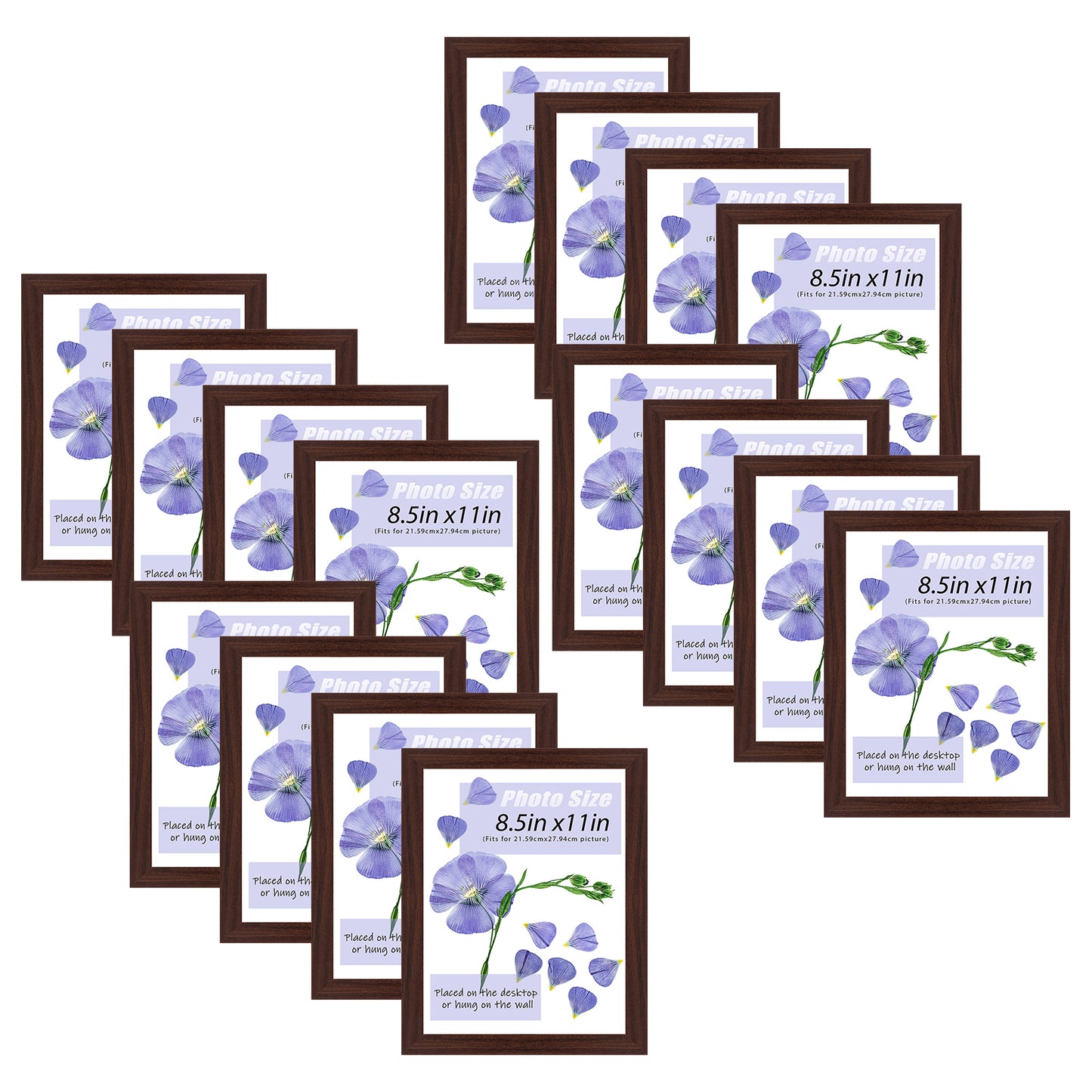 Frametory, 8.5x11 Picture Frame with Real Glass (16 Pack)
