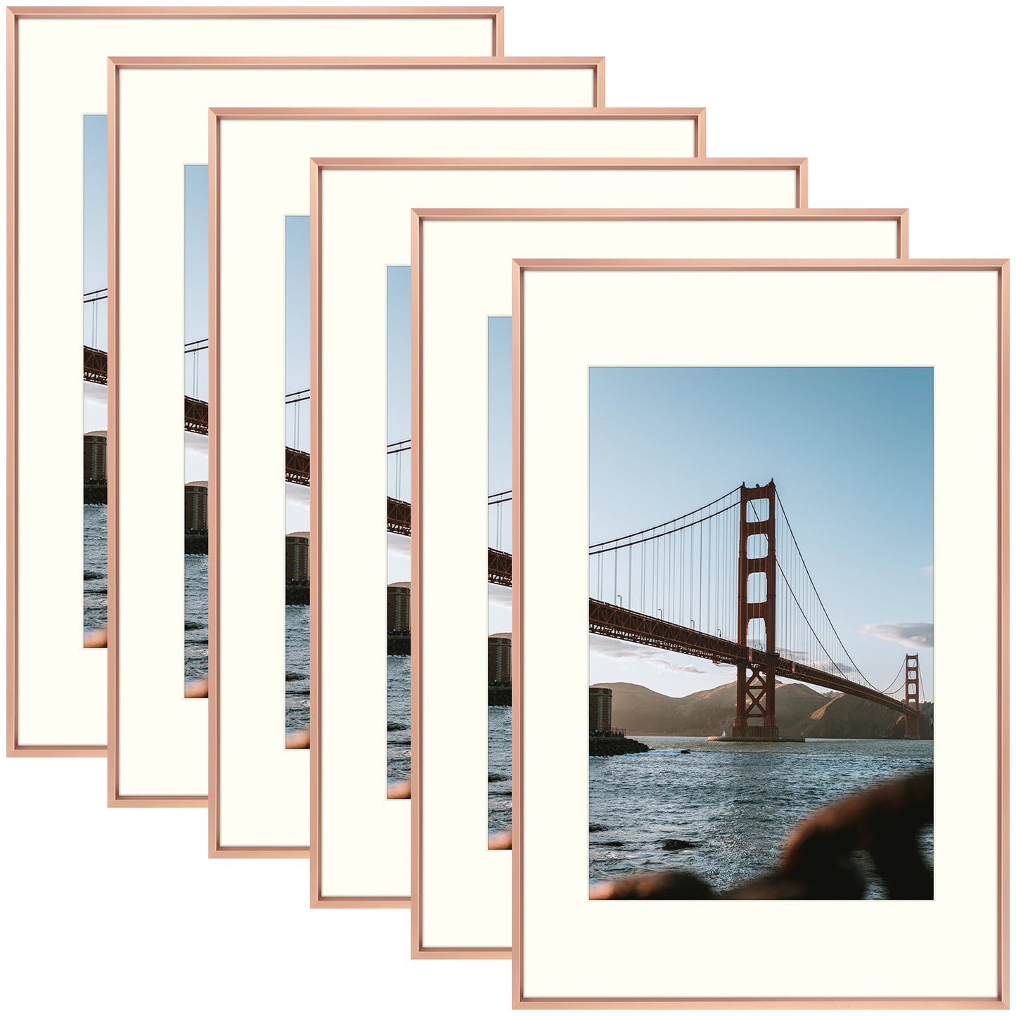 Clearance 16x24 Metal Picture Frame Displays 12x18 Pictures (6 Pack)