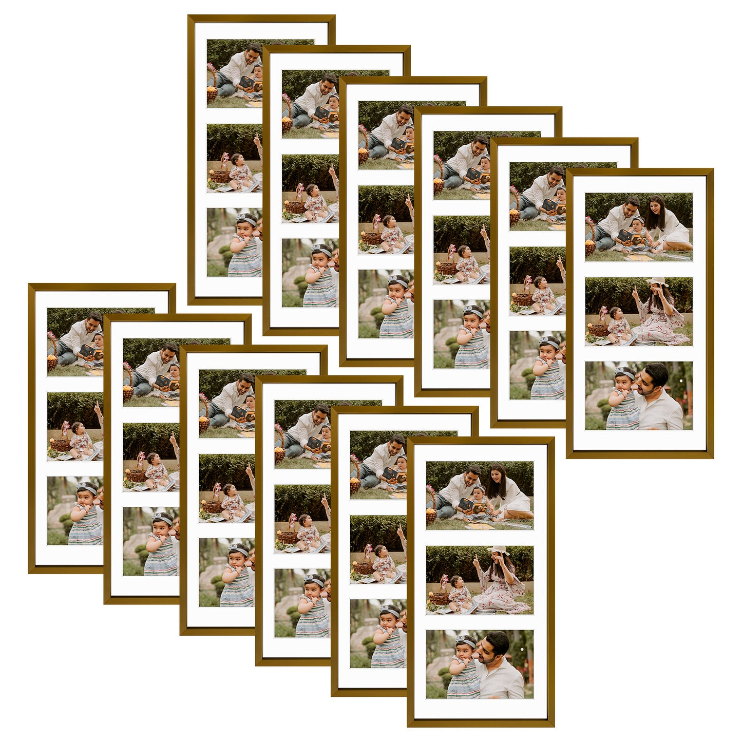 12 Pack/Bronze