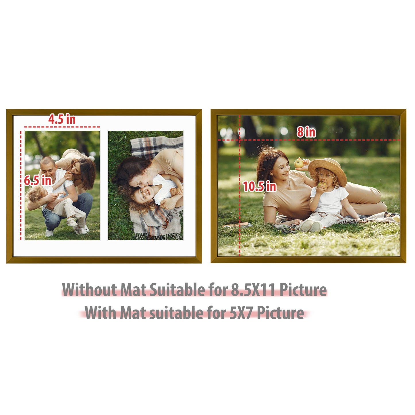 Clearance 8.5x11 Collage Picture Frame Displays Two 5x7 Photos (12 Pack)