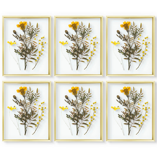 Frametory, 11x14 Floating Frame For Any Size Photo up to 11 by 14 (6 Pack)