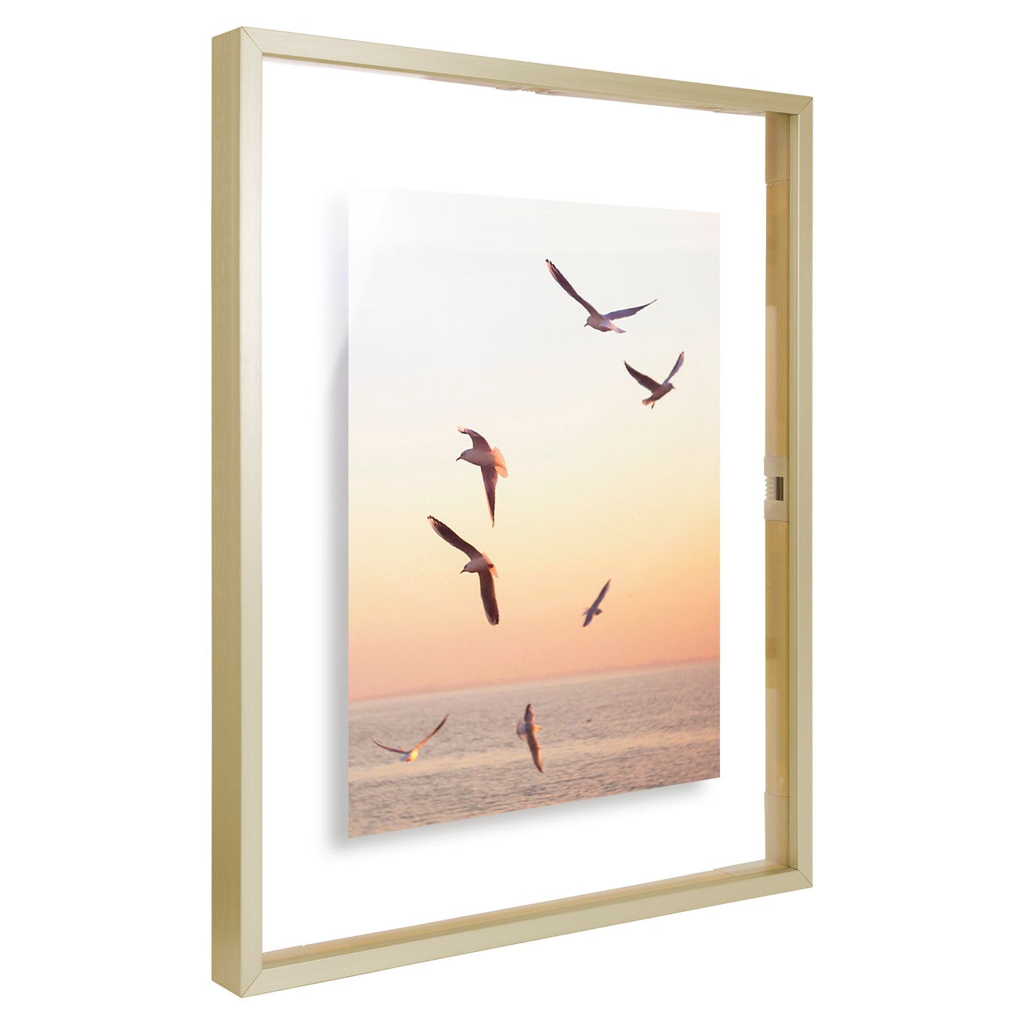 Frametory,11x14 Floating Frame For Any Size Photo up to 11 by 14 (6 Pack)