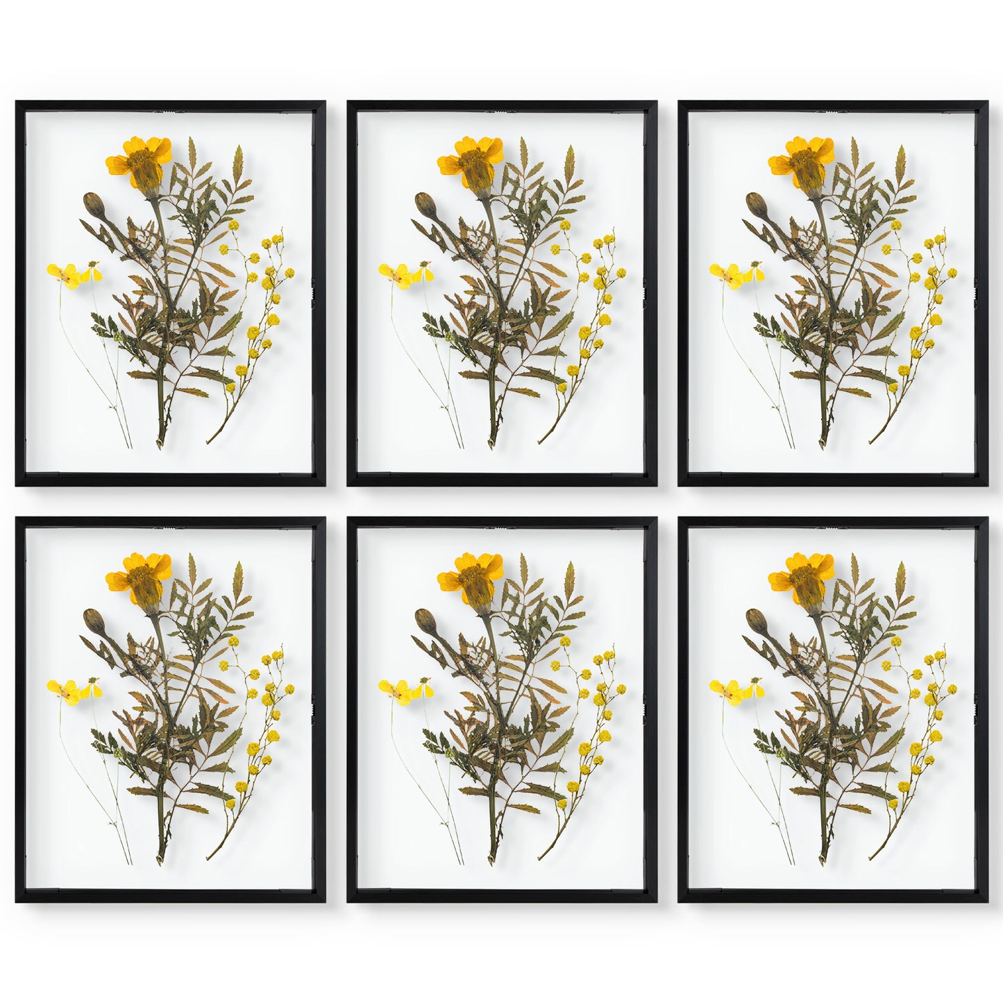 Frametory,11x14 Floating Frame For Any Size Photo up to 11 by 14 (6 Pack)