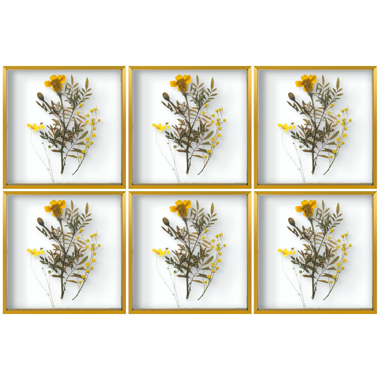 12x12 Floating Frame Displays Any Size Photo up to 12 by 12 (6 Pack)