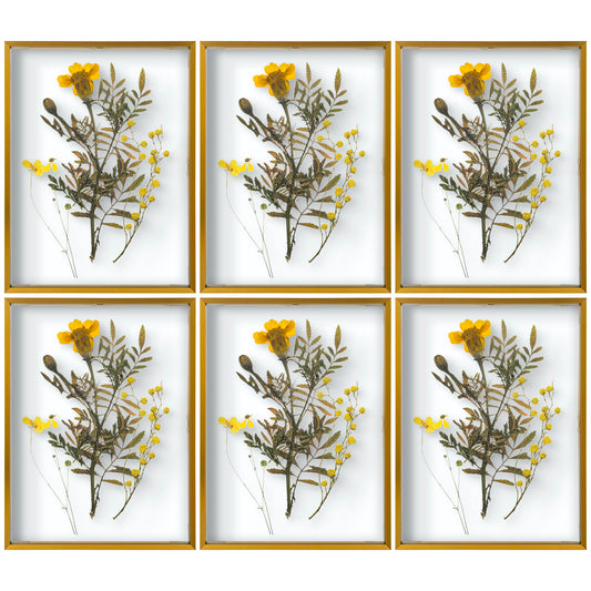 12x16 Floating Frame Displays Any Size Photo up to 12 by 16 (6 Pack)