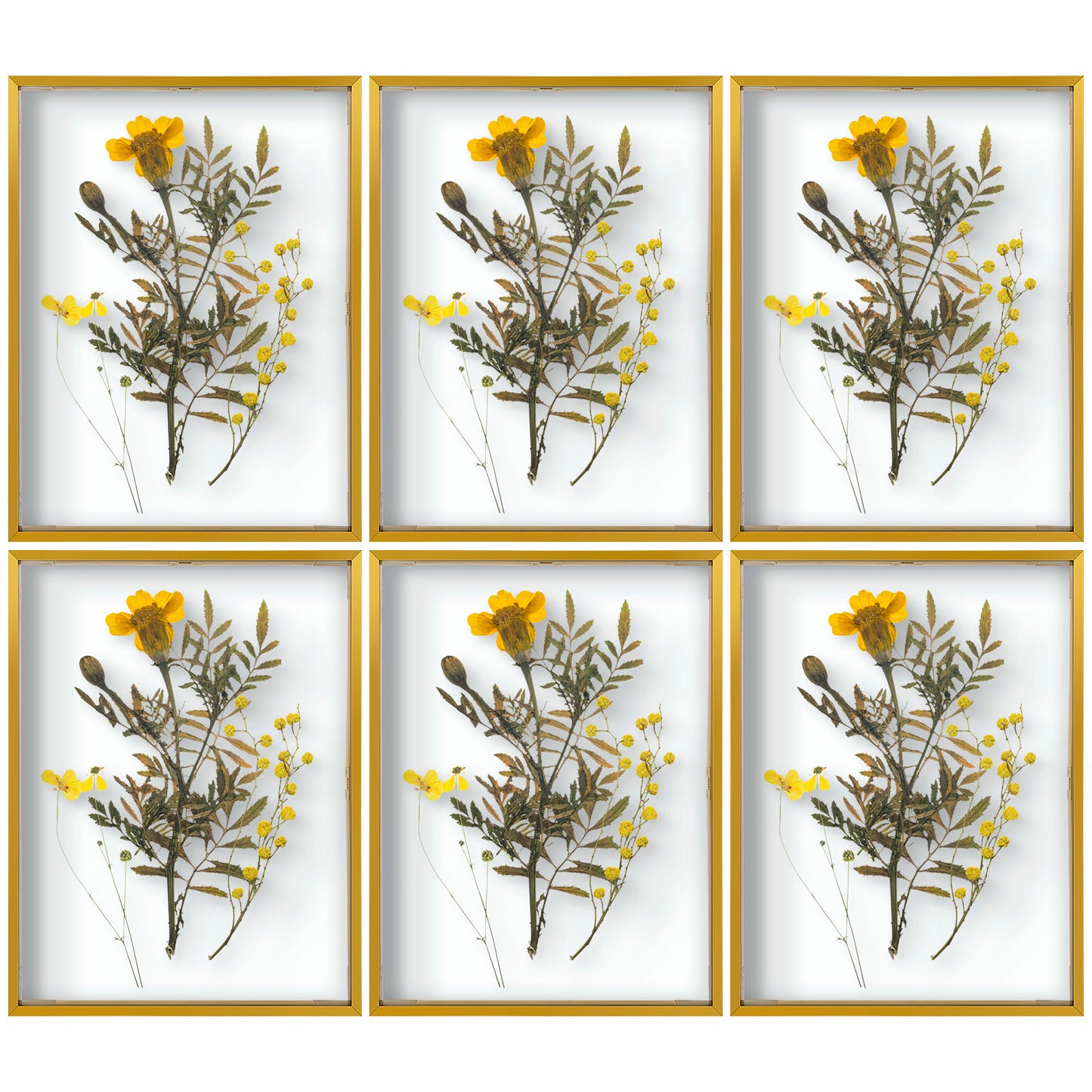 12x16 Floating Frame Displays Any Size Photo up to 12 by 16 (6 Pack)