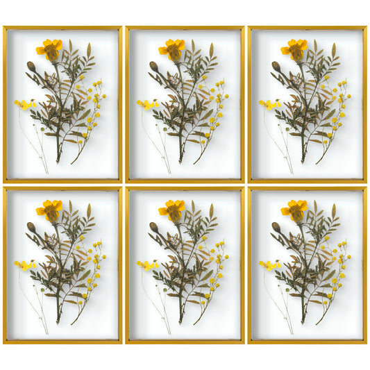 12x16 Floating Frame Displays Any Size Photo up to 12 by 16 (6 Pack)