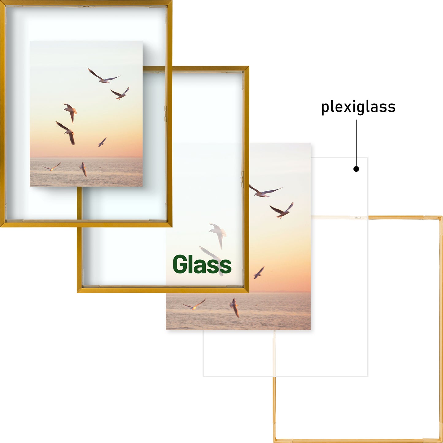 12x16 Floating Frame Displays Any Size Photo up to 12 by 16 (6 Pack)