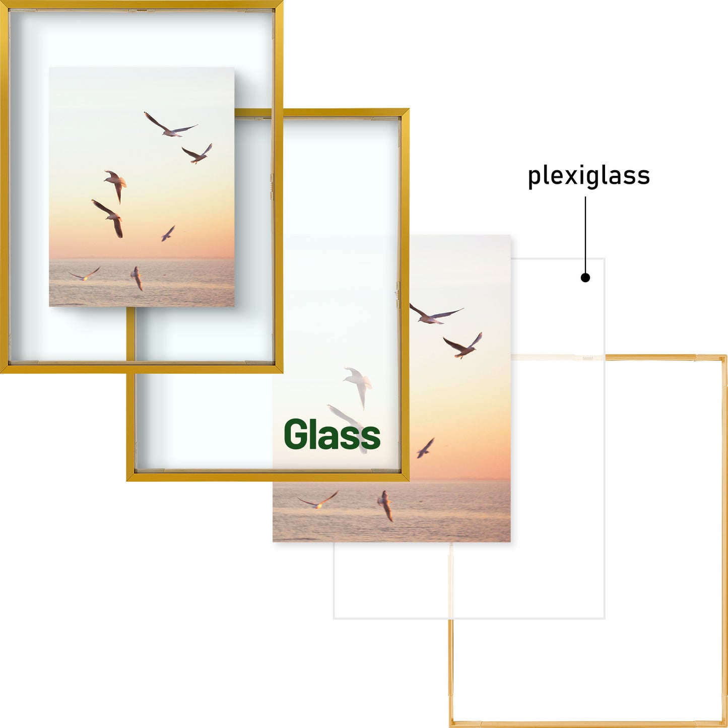 12x16 Floating Frame Displays Any Size Photo up to 12 by 16 (6 Pack)