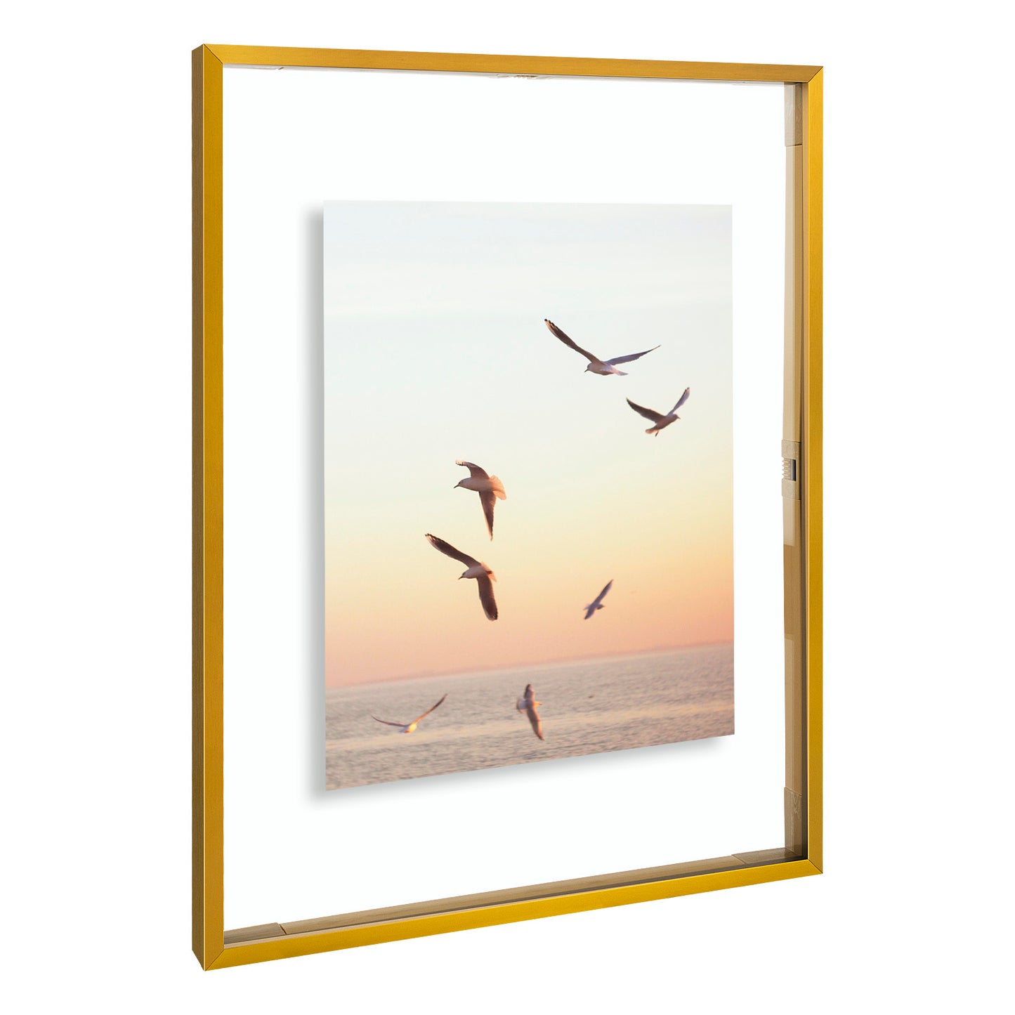 12x16 Floating Frame Displays Any Size Photo up to 12 by 16 (6 Pack)