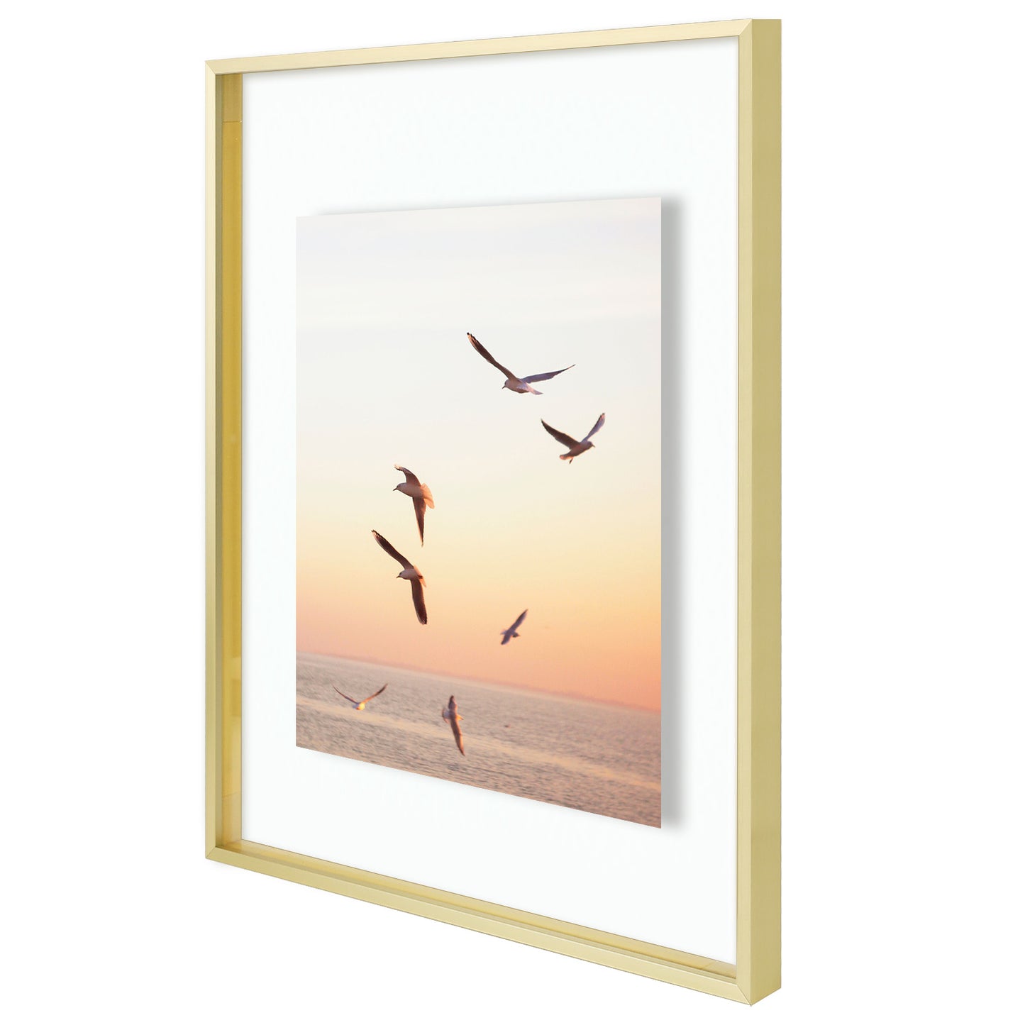 Frametory,16x20 Floating Frame For Any Size Photo Up to 16 by 20 (6 Pack)